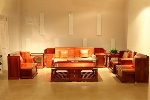 疫情期間家居最全消毒養護指南 守護健康，從細節做起